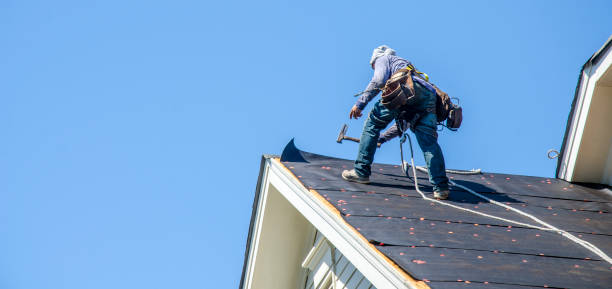 Best Roof Maintenance Services  in Park Hill, OK